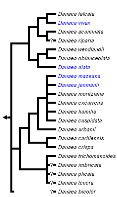 taxon links